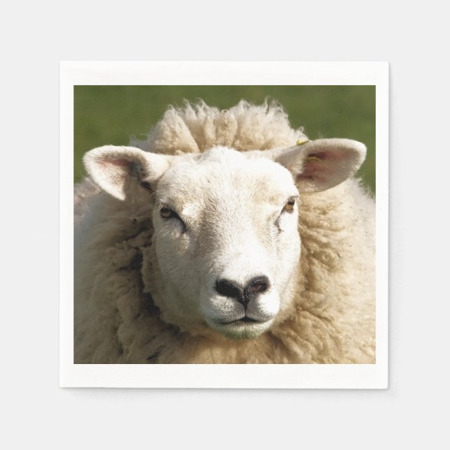 SHEEP NAPKINS (Front)