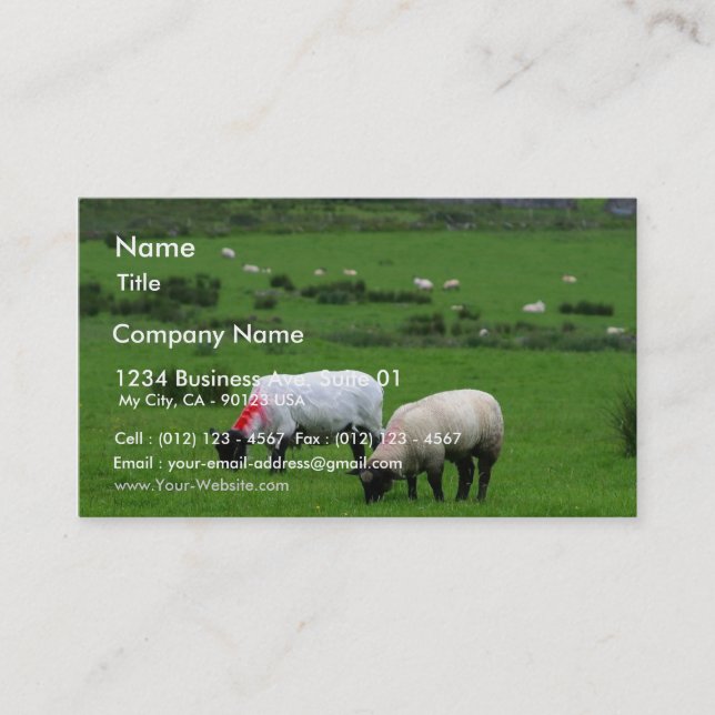 Sheep Near Deerpark Ireland Business Card (Front)