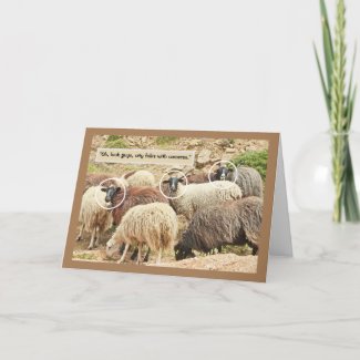Sheep/ 