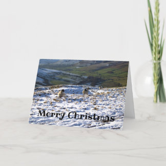 Sheep on a Snowy Field Christmas Card