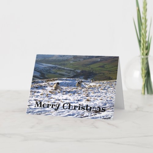 Sheep on a Snowy Field Christmas Card