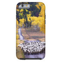 Sheep on Country Road Tough iPhone 6 Case
