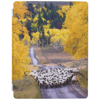 Sheep on Country Road iPad Smart Cover