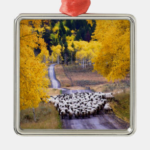 Sheep on Country Road Metal Ornament