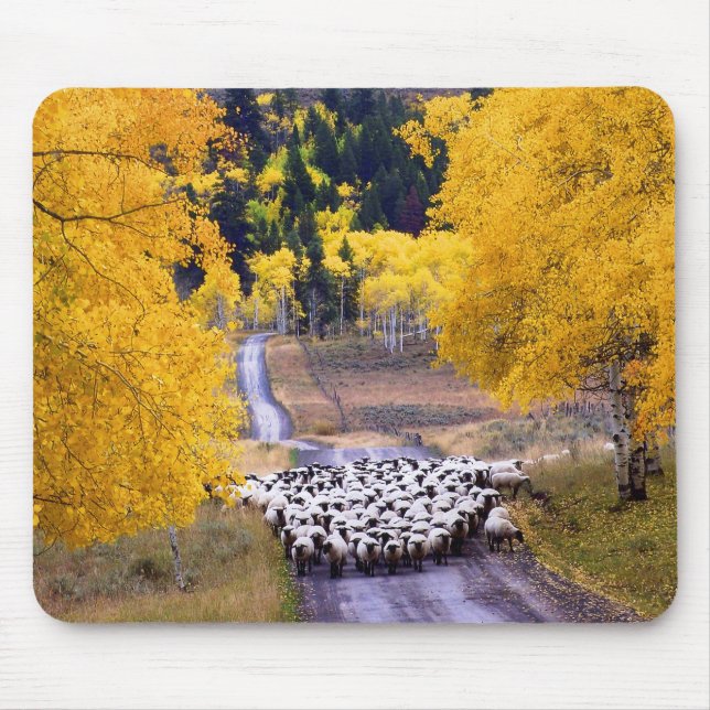 Sheep on Country Road Mouse Pad (Front)