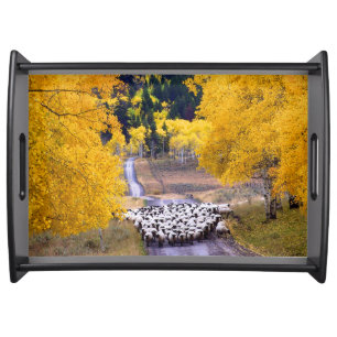 Sheep on Country Road Serving Tray