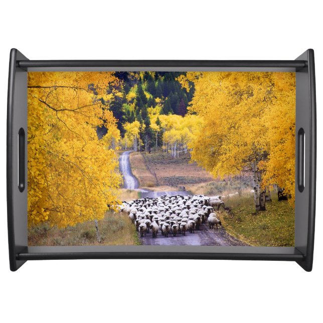 Sheep on Country Road Serving Tray (Front)