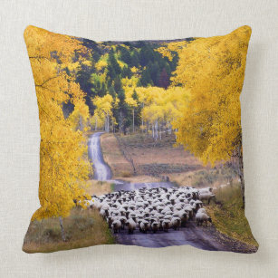 Sheep on Country Road Throw Pillow