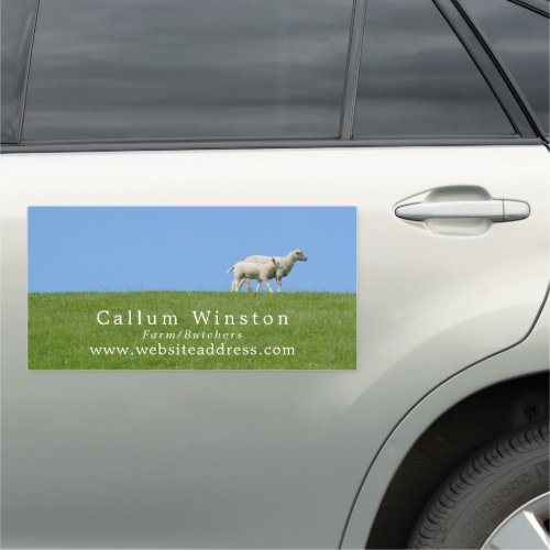 Sheep on Grass Farmer  Butcher Car Magnet