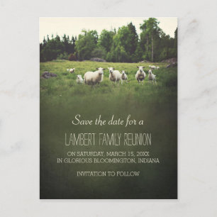 Sheep on Pasture Family Reunion Save the Date Announcement Postcard
