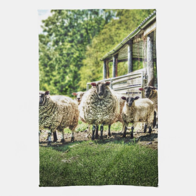 Sheep on the farm kitchen Tea towel (Vertical)
