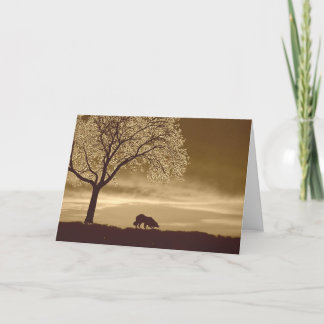 Sheep on the horizon~Border Collie Christmas Holiday Card