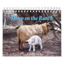 Sheep On The Ranch Calendar