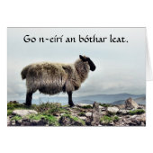 Sheep on the Rocks Card (Front Horizontal)