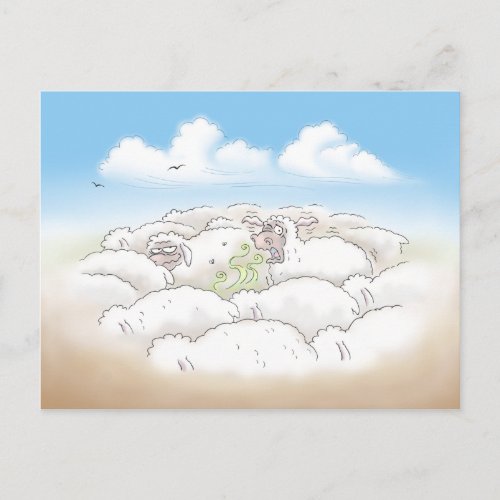 Sheep Out on the Range Postcard
