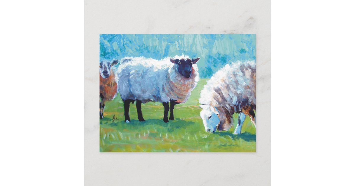 Sheep Painting Summer Light Postcard 