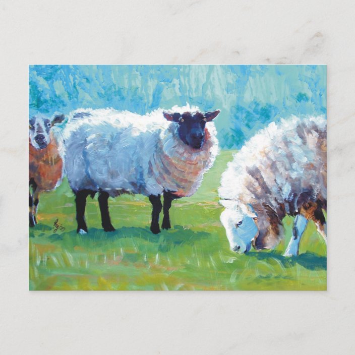 Sheep painting Summer light Postcard | Zazzle.com