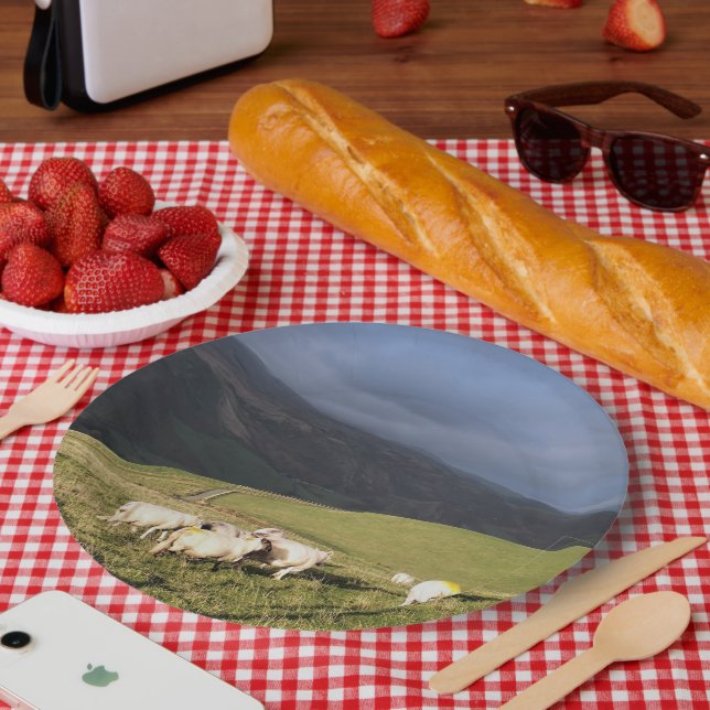 SHEEP PAPER PLATES (Picnic)
