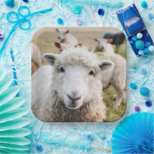 Sheep Paper Plates