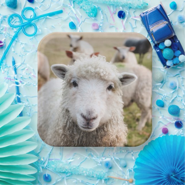 Sheep Paper Plates (Party)