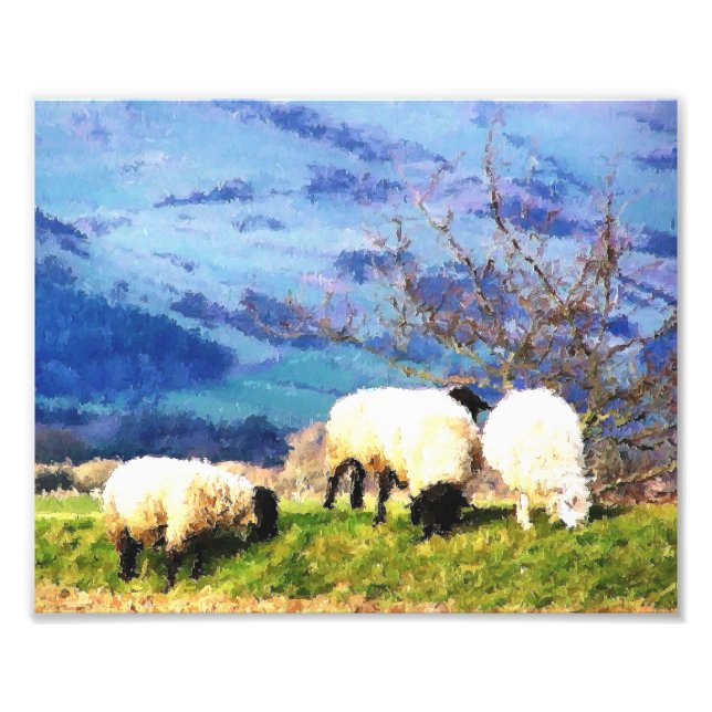 SHEEP PHOTO PRINT (Front)