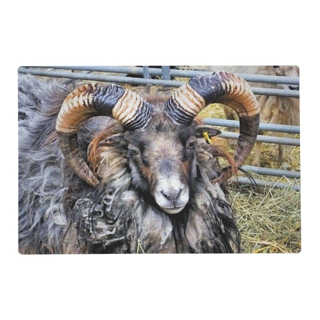 SHEEP PLACEMAT (Front)