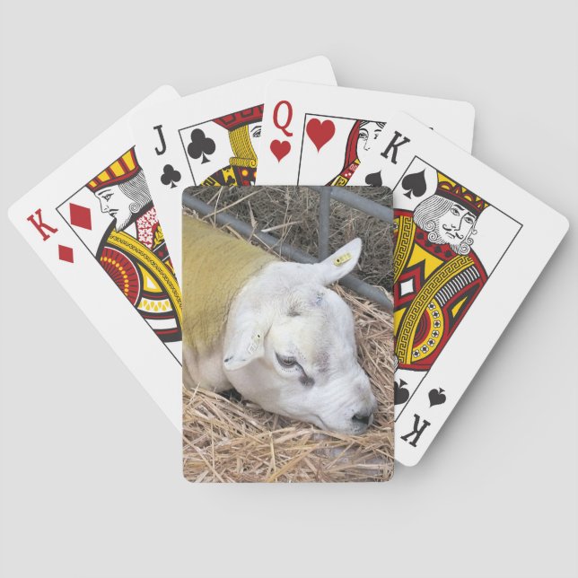 SHEEP POKER CARDS (Back)
