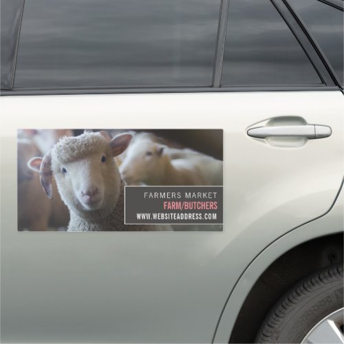Sheep Portrait Farmer  Butcher Car Magnet
