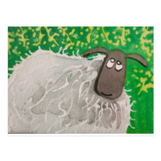 Sheep Cards | Zazzle