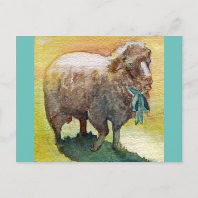 Sheep postcard (Front)