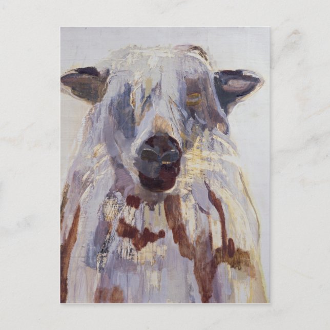 Sheep Postcard (Front)