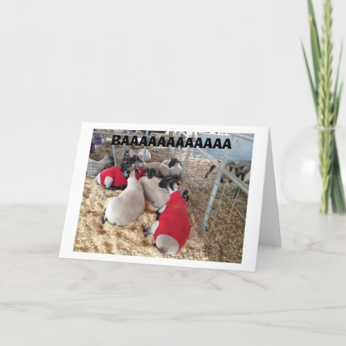 SHEEP SAY IT IN THEIR OWN WAY HAPPY BIRTHDAY CARD