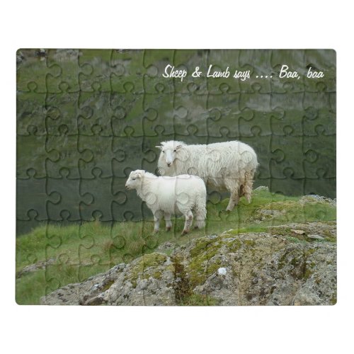 Sheep says Baa baa Scottish  New Zealand Jigsaw Puzzle