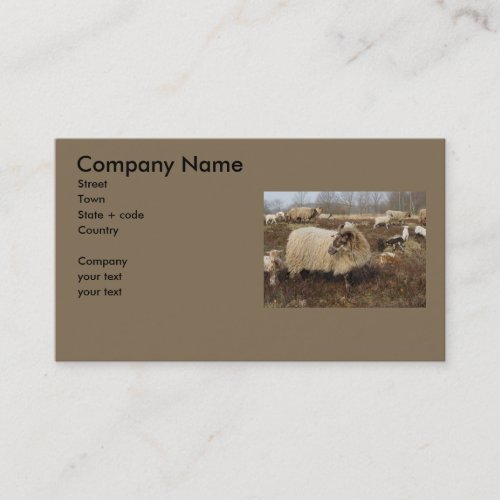 Sheep - Sheep in Heather field Business Card Template
