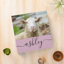 Sheep show tongue