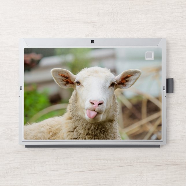 Sheep show tongue HP laptop skin (Front)