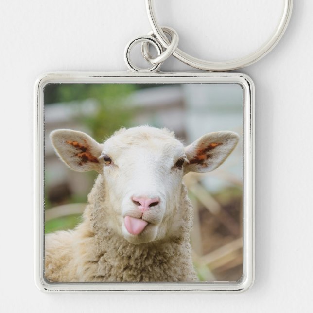 Sheep show tongue keychain (Front)