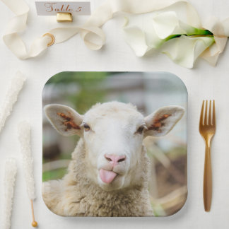 Sheep show tongue paper plates