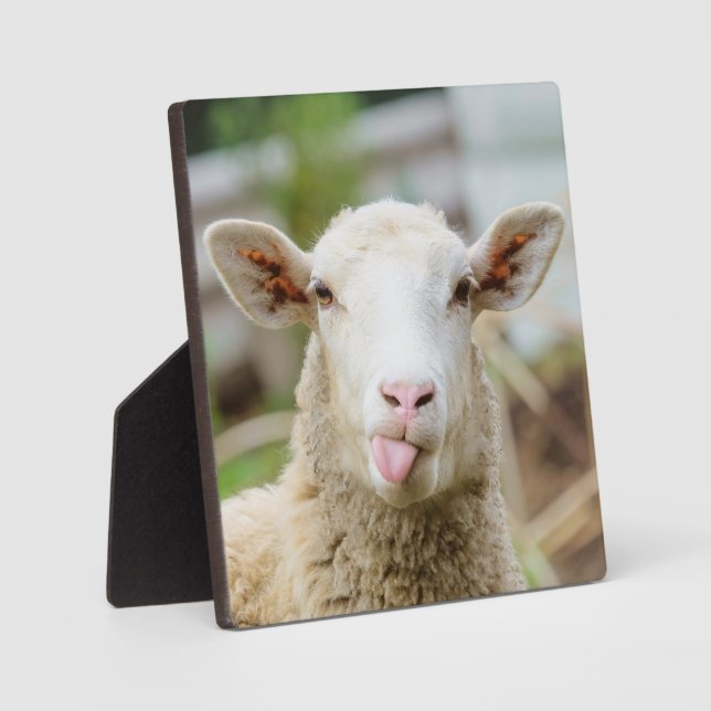 Sheep show tongue plaque (Front)