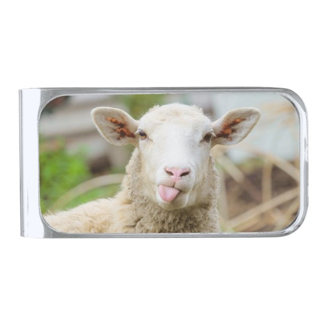 Sheep show tongue silver finish money clip (Front)
