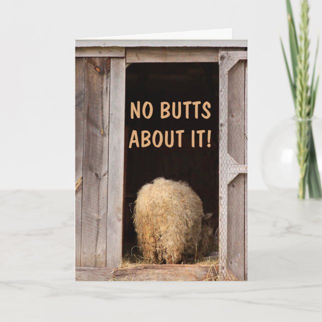 Sheep Silly Joke Get Well Card (Front)