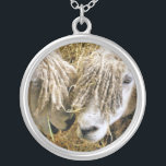 SHEEP SILVER PLATED NECKLACE<br><div class="desc">Two beautiful Cotswold sheep captured photographically in a funny and humorous moment talking to each other. Cotswold sheep originate from the Cotswolds in England and are bred for their wool and meat. They have long fleeces with an almost golden tint to it.</div>
