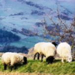 SHEEP SILVER PLATED NECKLACE<br><div class="desc">A beautiful digital oil painting of sheep,  some of the hard working farm girls. Wales UK.</div>