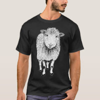 Sheep Sketch