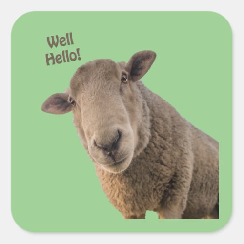 Sheep Square Sticker