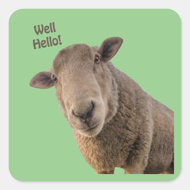 Sheep Square Sticker (Front)