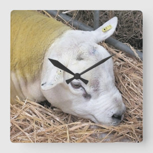 SHEEP SQUARE WALL CLOCK