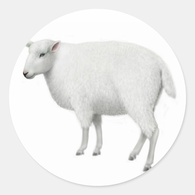 Sheep Sticker (Front)