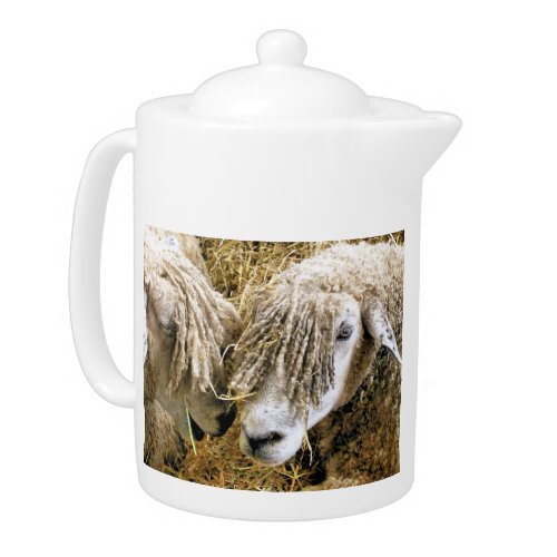 SHEEP TEAPOT