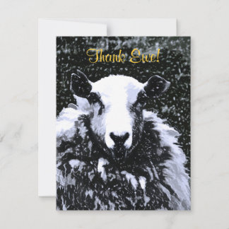 SHEEP THANK YOU CARD